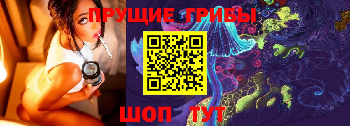 Псилоцибиновые грибы Psilocybe Гагарин